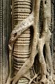 Angkor 20